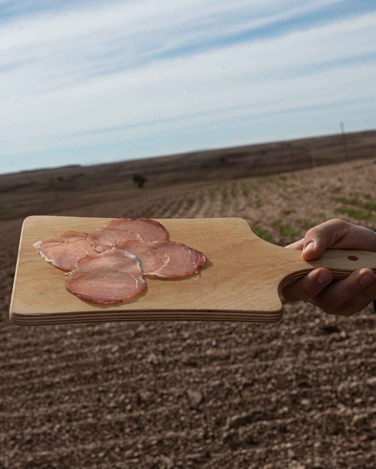 FILETTO MAIALINO - Stagionatura 100 giorni