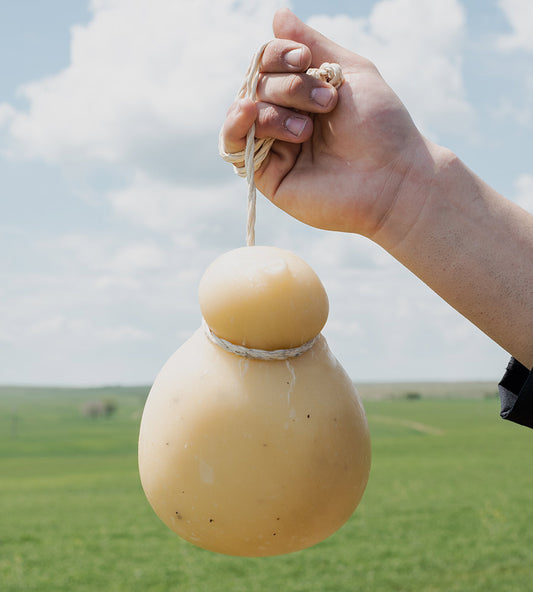 CACIOCAVALLO AL TARTUFO